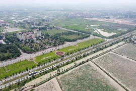 Tạm hoãn phiên đấu giá 30 lô đất ở tại huyện Mê Linh