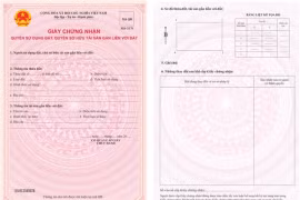 Chính thức cấp sổ đỏ mẫu mới, tra 5 thông tin qua mã QR