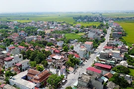 Hàng trăm lô đất ở Nam Định chuẩn bị được đưa ra đấu giá