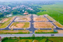 Hà Nội đấu giá thành công 19 lô đất ở huyện Phúc Thọ