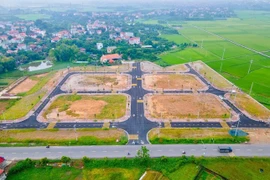 Hà Nội đấu giá thành công 19 lô đất ở huyện Phúc Thọ