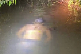 Phát hiện thi thể người đàn ông trên sông Cái ở Khánh Hòa 