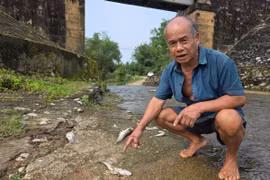 Hà Tĩnh: Cá chết hàng loạt dọc bờ suối Khe Ác