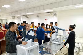 Hà Nội đấu giá thành công 15 lô đất, thu về 126,8 tỷ đồng