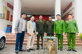 Hà Tĩnh: Người dân giao nộp cá thể khỉ vàng quý hiếm