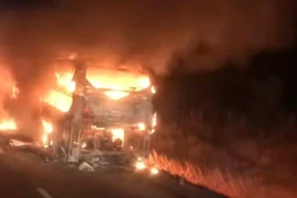 Xe khách bốc cháy trên cao tốc ở Bình Thuận, hành khách hoảng loạn