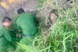 Bắt giữ cặp đôi “đạo chích” lẩn trốn trong bụi cỏ ở Ninh Thuận