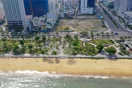 Khu “đất vàng” gần 11.000m2 ở Bình Định chuẩn bị lên sàn đấu giá