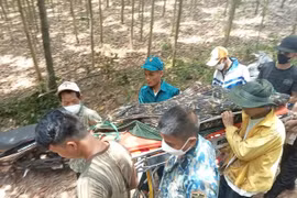 Người đàn ông ở Quảng Bình tử vong khi vào rừng soi ếch