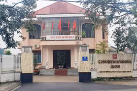 Quảng Trị: Gian lận đấu thầu, một doanh nghiệp bị phạt 200 triệu