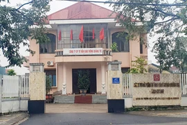 Quảng Trị: Gian lận đấu thầu, một doanh nghiệp bị phạt 200 triệu