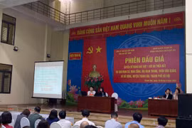 Hà Nội đấu giá thành công 89 lô đất, cao nhất gần 80 triệu/m²