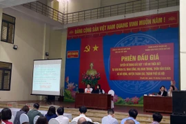 Hà Nội đấu giá thành công 89 lô đất, cao nhất gần 80 triệu/m²