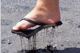 Chứng kiến cái nóng khủng khiếp của mùa hè trên thế giới qua loạt ảnh chân thực