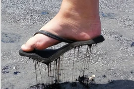 Chứng kiến cái nóng khủng khiếp của mùa hè trên thế giới qua loạt ảnh chân thực