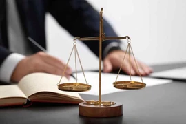 Xây dựng Đại Cát bị cấm đấu thầu 4 năm vì hành vi không trung thực