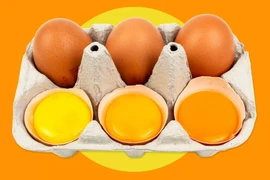 Trứng gà lòng đỏ cam hay lòng đỏ vàng bổ dưỡng hơn?