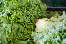 Chuyên gia hướng dẫn cách rửa rau sống sạch, an toàn