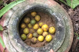 "Tuyệt chiêu" bảo quản chanh tươi suốt vài tháng không cần tủ lạnh