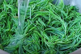 Loại rau dại xưa ít người biết nay thành "đặc sản" giúp thanh nhiệt, bổ phổi