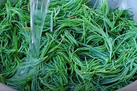 Loại rau dại xưa ít người biết nay thành "đặc sản" giúp thanh nhiệt, bổ phổi