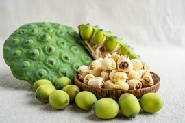 Hạt sen rất bổ nhưng 5 nhóm người này nên hạn chế ăn