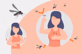 Những lưu ý quan trọng phòng, chữa bệnh sốt xuất huyết