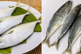 Loại cá giàu dinh dưỡng, ngừa đột quỵ, cải thiện trí nhớ