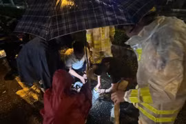 CSGT giải cứu tài xế ngất xỉu trong xe vì cây đè trong bão