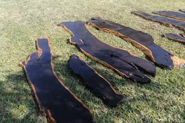 Loại gỗ quý hiếm siêu đắt đỏ, được săn lùng khắp nơi có gì đặc biệt?