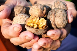 Thực phẩm giúp nâng cao chất lượng tinh trùng