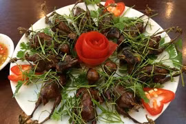 Món ngon từ chim sẻ giúp bổ thận, tráng dương