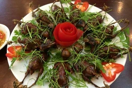 Món ngon từ chim sẻ giúp bổ thận, tráng dương