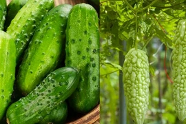 Loại rau thanh nhiệt, giải độc, nấu canh hay làm nộm đều ngon