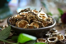 Những lợi ích sức khoẻ tuyệt vời của mướp đắng nhiều người không biết