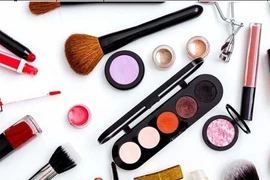 Bị xử phạt 100 triệu đồng, Công ty Kỳ Phong vi phạm thế nào?