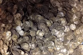 Bất ngờ tìm được kho báu trị giá 42 tỷ khi dùng máy dò kim loại