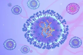 Sở Y tế TP HCM: HMPV không phải là virus mới