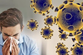 Virus HMPV lây lan như thế nào?