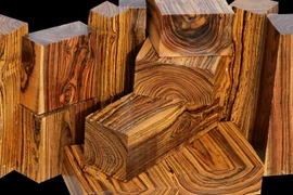 Top 10 loại gỗ quý hiếm, đắt đỏ bậc nhất thế giới
