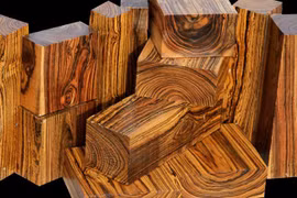Top 10 loại gỗ quý hiếm, đắt đỏ bậc nhất thế giới