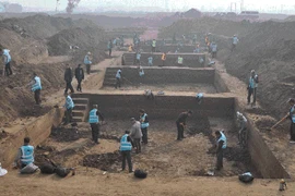 Khai quật một cổ, thấy cổ vật giá hơn nghìn tỷ