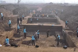 Khai quật một cổ, thấy cổ vật giá hơn nghìn tỷ