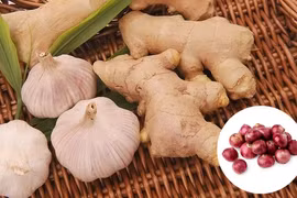 4 món ăn từ thảo dược giúp phòng ngừa bệnh cúm