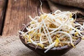 Vụ gần 3.000 tấn giá đỗ ủ chất cấm, 6-Benzylaminopurine nguy hiểm thế nào?