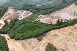 Lý do Cty Cổ phần Vận tải và Xây dựng 2/9 bị phạt 300 triệu đồng