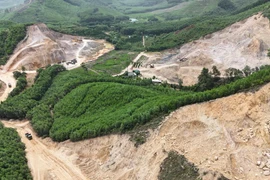 Lý do Cty Cổ phần Vận tải và Xây dựng 2/9 bị phạt 300 triệu đồng