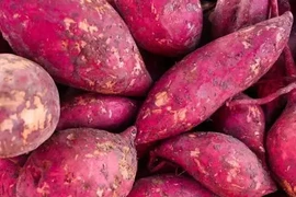 Người bệnh tiểu đường ăn khoai lang được không?