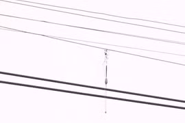 Mất cả chi thể, hoại tử ngực, tổn thương tạng... do câu cá dưới đường điện