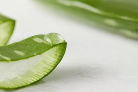 4 cách sử dụng nha đam làm đẹp da